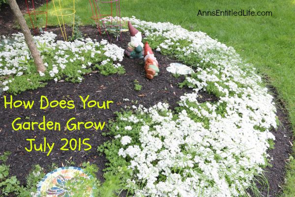 How Does Your Garden Grow? July 2015