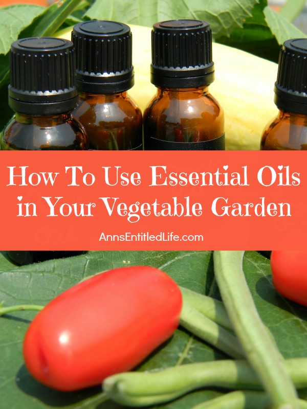 How To Use  Essential Oils in Your Vegetable Garden; A list of beneficial essential oils to use in your vegetable garden to aid growth, and repel bad bugs, and attract good bugs. Your garden will love you!