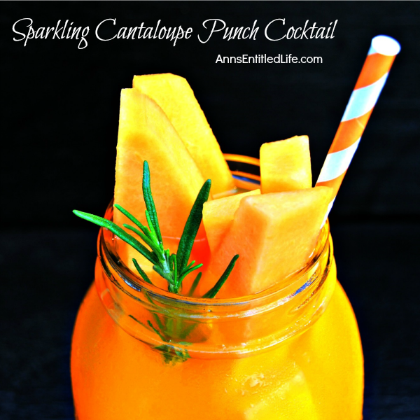 Sparkling Cantaloupe Punch Cocktail