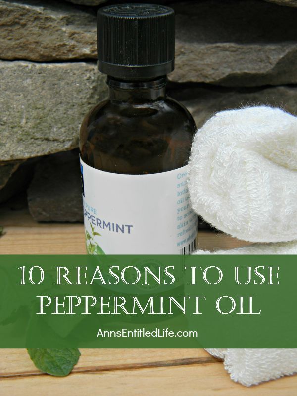 10 Reasons To Use Peppermint Oil; Peppermint Oil is often an overlooked and under-loved essential oil. The applications and uses for peppermint oil are wide and varied.  Here are 10 uses for peppermint oil, and why you may want to consider adding peppermint oil to your essential oil list!
