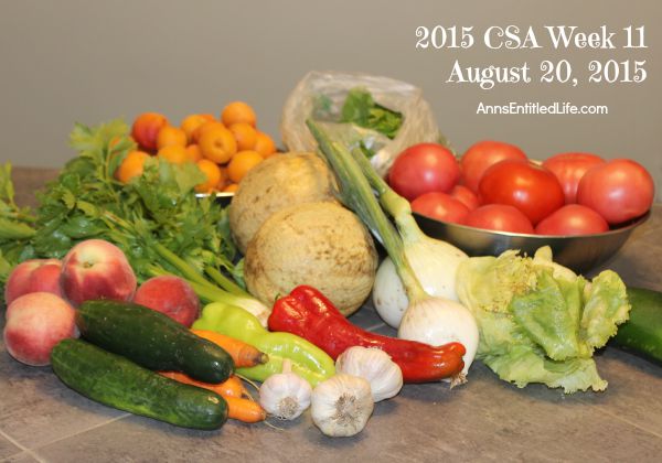 2015 CSA Share Week 11