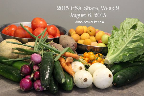 2015 CSA Share Week 9