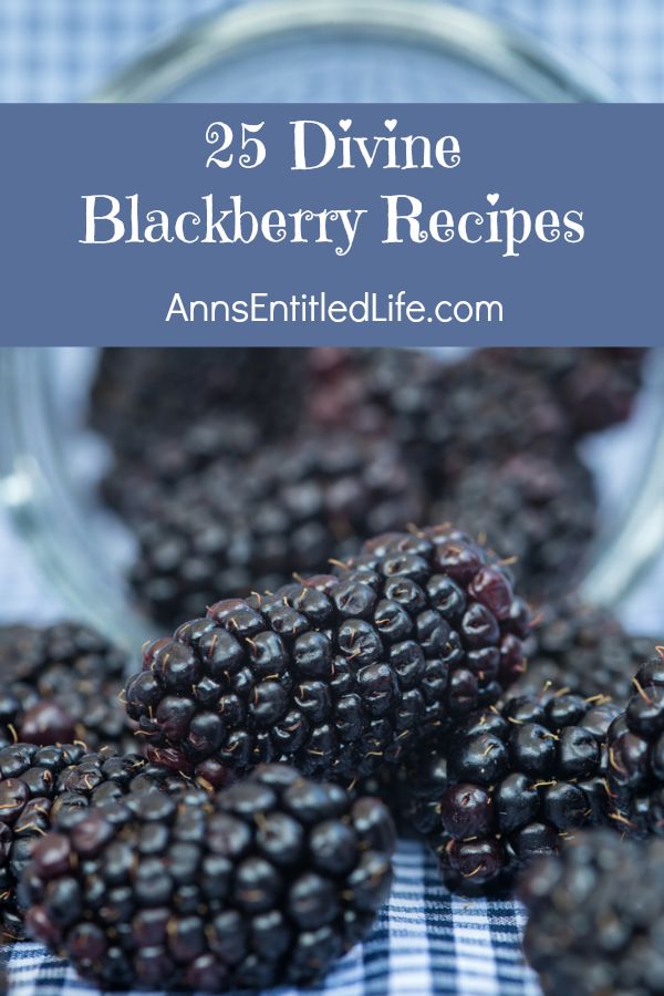 a close-up of fresh blackberries laying on a blue napkin