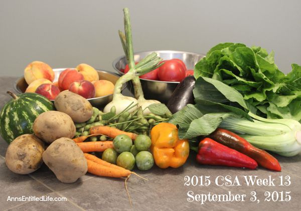 2015 CSA Share Week 13