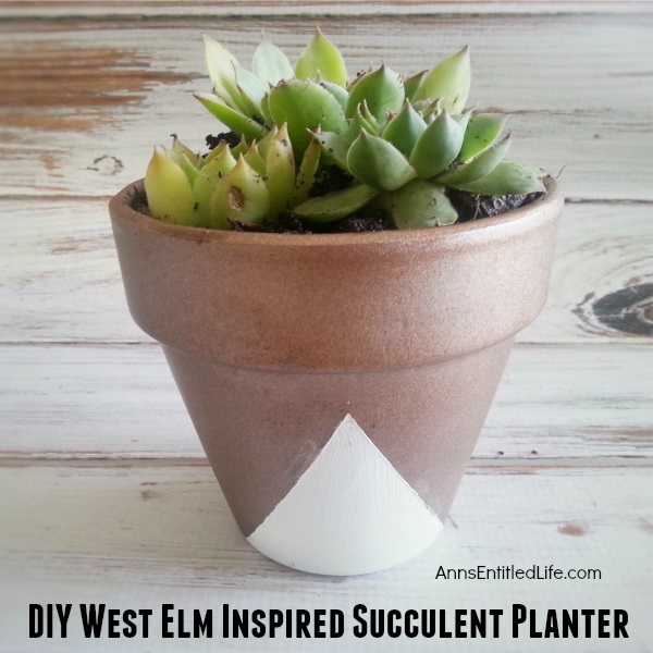 This DIY, West Elm Inspired Succulent Planter is a great way to bring summer inside all year round! Dress up a large pot; plant some herbs, a few trailers and more. Start a fantastic planter shelf or brighten up your current planters with this cute metallic design. Easy to care for succulent plants are wonderful way to brighten up your planter shelf! Really make your indoor and outdoor planters POP!