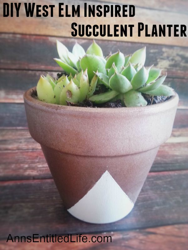 This DIY, West Elm Inspired Succulent Planter is a great way to bring summer inside all year round! Dress up a large pot; plant some herbs, a few trailers and more. Start a fantastic planter shelf or brighten up your current planters with this cute metallic design. Easy to care for succulent plants are wonderful way to brighten up your planter shelf! Really make your indoor and outdoor planters POP!