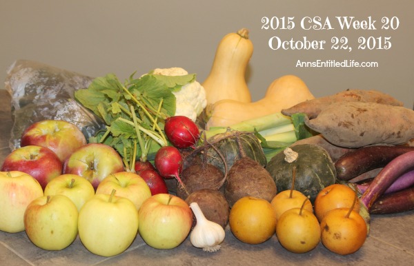 2015 CSA Share Week 20