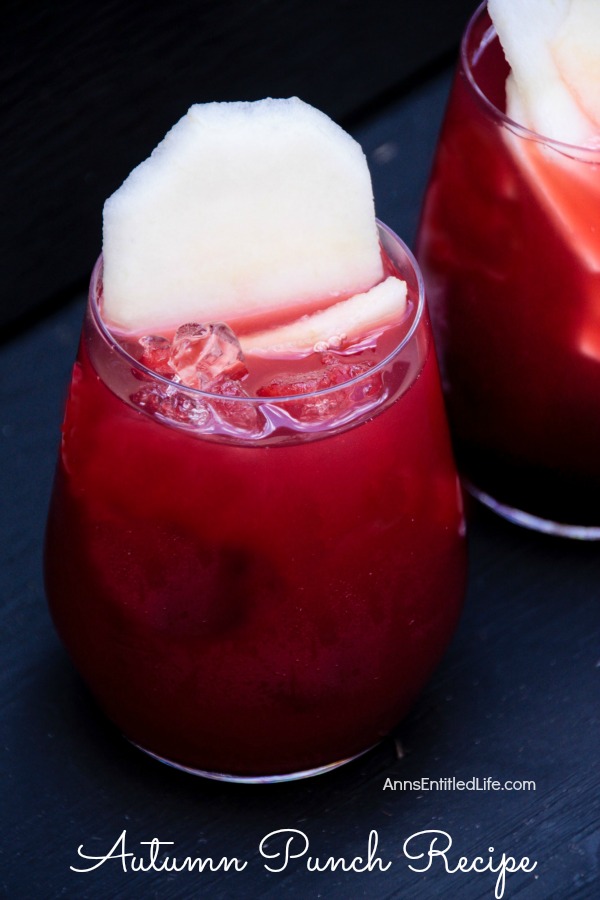 This is a great fall punch made with hints of some of great autumn flavors. The subtle taste of cherry, cranberry and fresh picked McIntosh apples makes for a wonderful Autumn Punch; a great drink when spending time relaxing in front of a fireplace or gathered outside around the fire pit. So raise a glass of Autumn Punch to the season!