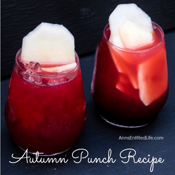 This is a great fall punch made with hints of some of great autumn flavors. The subtle taste of cherry, cranberry and fresh picked McIntosh apples makes for a wonderful Autumn Punch; a great drink when spending time relaxing in front of a fireplace or gathered outside around the fire pit. So raise a glass of Autumn Punch to the season!