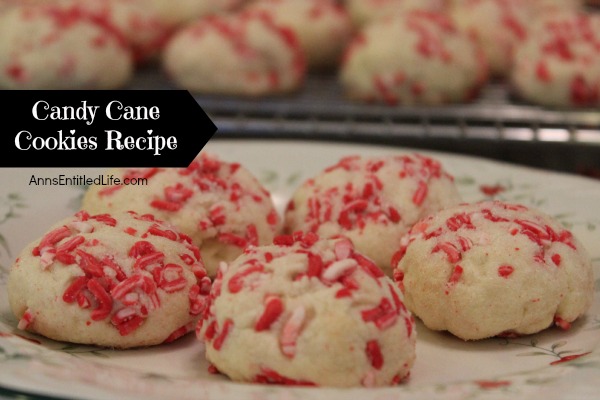 Candy Cane Cookies Recipe. These unique Candy Cane Cookies will make your entire house smell like Christmas! The cool, refreshing taste of peppermint is the perfect holiday flavor. Easy to make, these candy cane cookies are great for cookie exchanges and your holiday cookie platter.