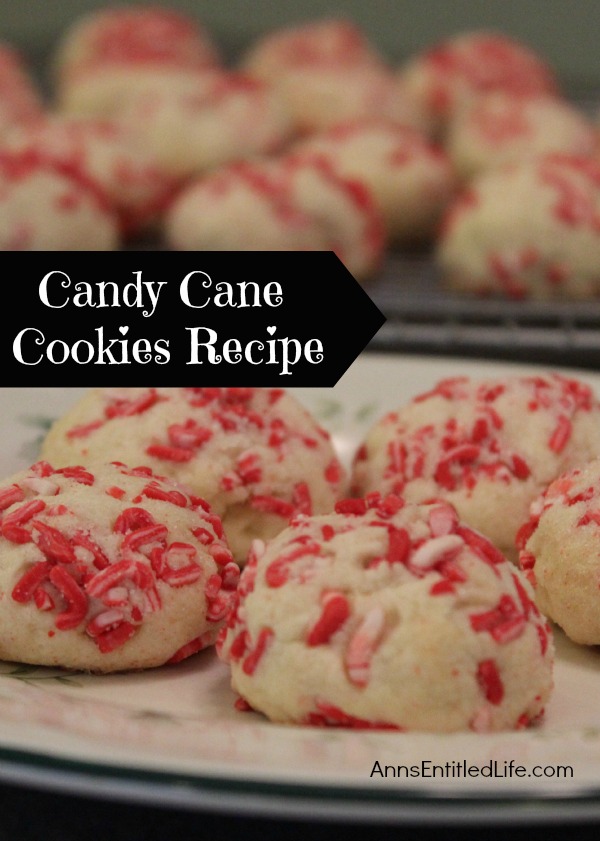 Candy Cane Cookies Recipe