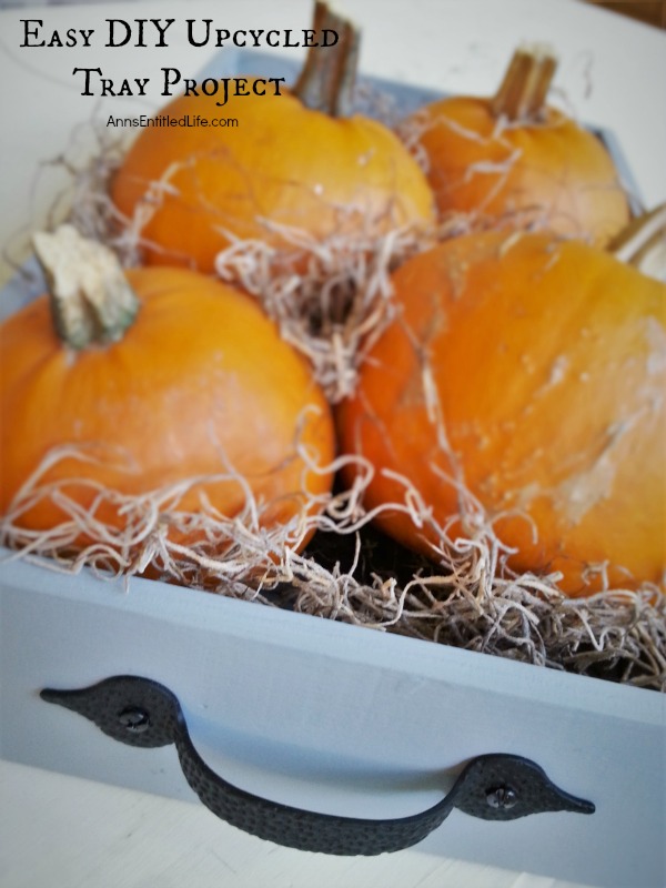 Easy DIY Upcycled Tray Project; Simply, quickly and inexpensively transform an old (or new) tray into a fabulous, multi-use, accent decor piece with these simple step by step instructions.