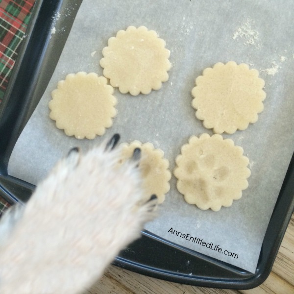 Paw Print Ornaments. Make Your Own Paw Print Ornaments in just minutes, and cherish the results forever. Now you can decorate for the holidays with a paw print of your favorite pet, without an expensive paw print kit!  Follow these easy step by step directions and hold dear the memories of your furry friend for a lifetime.