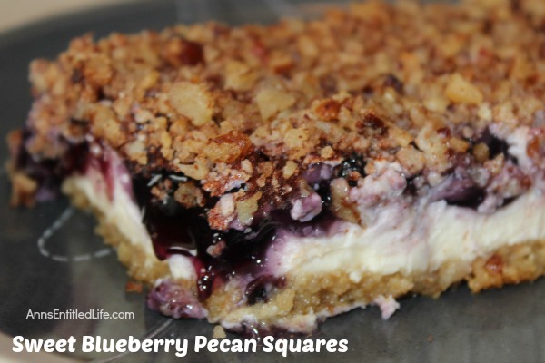 Sweet Blueberry Pecan Squares. These Sweet Blueberry Pecan Squares have a sweet, creamy filling layer, graham cracker crust and delicious pecan topping. Simple to make, these Sweet Blueberry Pecan Squares are a perfect colorful, and delicious, dessert for any occasion.
