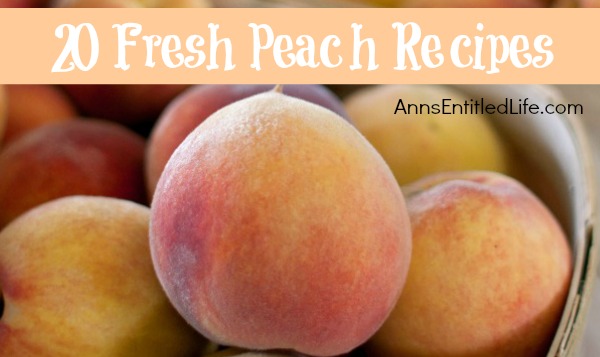 20 Fresh Peach Recipes. Savor sweet, juicy peaches this summer these exceptional peach recipes. From cobblers to jams, butters and drinks, these 20 fresh peach recipes are a welcome addition to any meal.