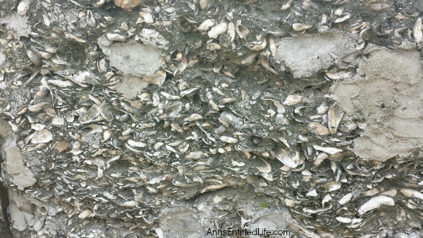 Seashell wall, St. Augustine, Florida.