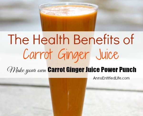 Carrot Ginger Juice Power Punch. A simple blend of carrots and ginger may boost your metabolism and provide you the much needed energy you need to get your day started. This Carrot Ginger Juice Power Punch is a great way to jump start your day!
