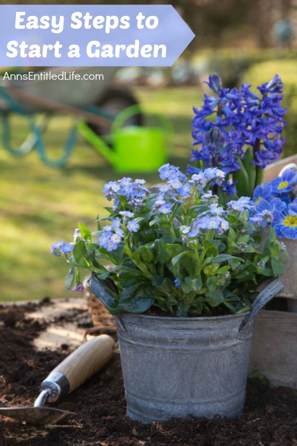 Easy Steps to Start a Garden. It is that time of year again - time to plant a garden. Even if you have a black thumb, these easy steps to start a garden will help so much that by the end of this gardening season you will have a little green on that thumb of yours.