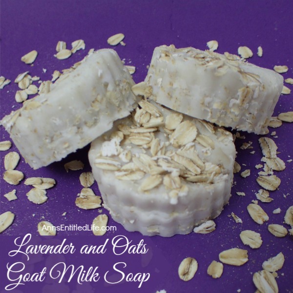 Lavender and Oats Goat Milk Soap Recipe. Making your own soap is fast, fun and easy. This soothing recipe of luxurious goats milk, hydrating shea butter and exfoliating oatmeal smells fantastic and feels great on your skin. Treat yourself to a spa-like experience with this wonderful Lavender and Oats Goat Milk Soap.