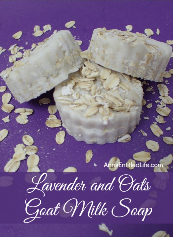 three lavender goat soap with oatmeal on a purple background