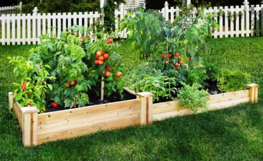 Cedar Raised Garden Bed