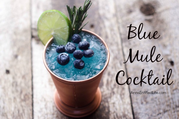 Blue Mule Cocktail Recipe. A fun, sweet update to the classic Moscow Mule, this Blue Mule is a beautiful cocktail drink that tastes great.