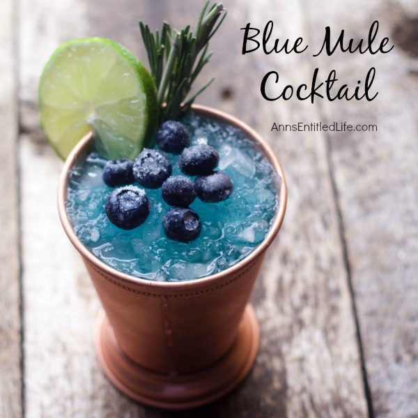 Blue Mule Cocktail Recipe. A fun, sweet update to the classic Moscow Mule, this Blue Mule is a beautiful cocktail drink that tastes great.