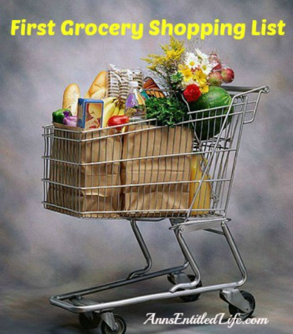 First Grocery Shopping List