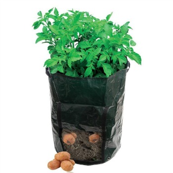 Garden Potato Grow Bag