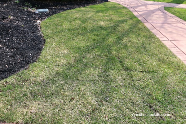 How to Repair Grass Damaged by Snow Mold. How to fix the snow mold damage to your lawn left at the end of winter. Snow mold or snow rot treatment and snow mold repair. Snow mold is a fungus that can severely damage your lawn. This easy repair tip can help repair the damage to your lawn cause by snow mold.