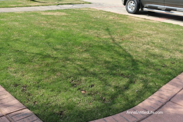 How to Repair Grass Damaged by Snow Mold. How to fix the snow mold damage to your lawn left at the end of winter. Snow mold or snow rot treatment and snow mold repair. Snow mold is a fungus that can severely damage your lawn. This easy repair tip can help repair the damage to your lawn cause by snow mold.