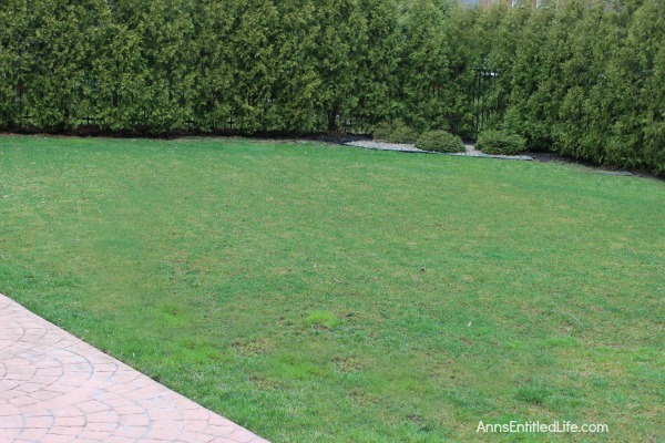 How to Repair Grass Damaged by Snow Mold. How to fix the snow mold damage to your lawn left at the end of winter. Snow mold or snow rot treatment and snow mold repair. Snow mold is a fungus that can severely damage your lawn. This easy repair tip can help repair the damage to your lawn cause by snow mold.