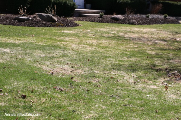 How to Repair Grass Damaged by Snow Mold. How to fix the snow mold damage to your lawn left at the end of winter. Snow mold or snow rot treatment and snow mold repair. Snow mold is a fungus that can severely damage your lawn. This easy repair tip can help repair the damage to your lawn cause by snow mold.