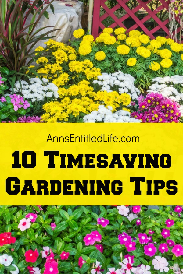 10 Timesaving Gardening Tips. A garden is the perfect way to add color to your landscape, and food to your fridge. A garden can provide you with so many benefits that growing one is definitely worth your while. But what if you want a garden, and just do not have the time or energy to care for it? Well the good news is there are ways to achieve a healthy and productive garden without a ton of effort or time. Take a look below at 10 Timesaving Gardening Tips, so you can grow the garden of your dreams without breaking your back.