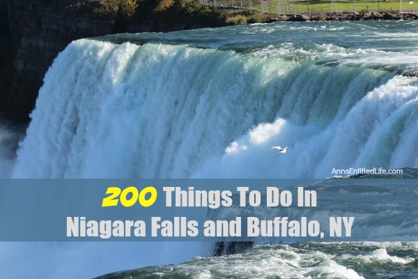 200 Things To Do In Niagara Falls and Buffalo, NY. A listing of 200 Things To Do In Niagara Falls and Buffalo, NY that are family friendly activities. From state parks to museums, to architecture and zoos, there is a lot to do in Niagara Falls, New York, Buffalo, New York, and all of Western New York.