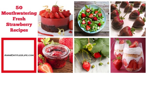 50 Mouthwatering Fresh Strawberry Recipes. Salsa, salads, cheesecakes or pies; enjoy fresh and juicy strawberries in new, bold and different ways with these 50 Mouthwatering Fresh Strawberry Recipes! Tarts, Bars, Casseroles and more!