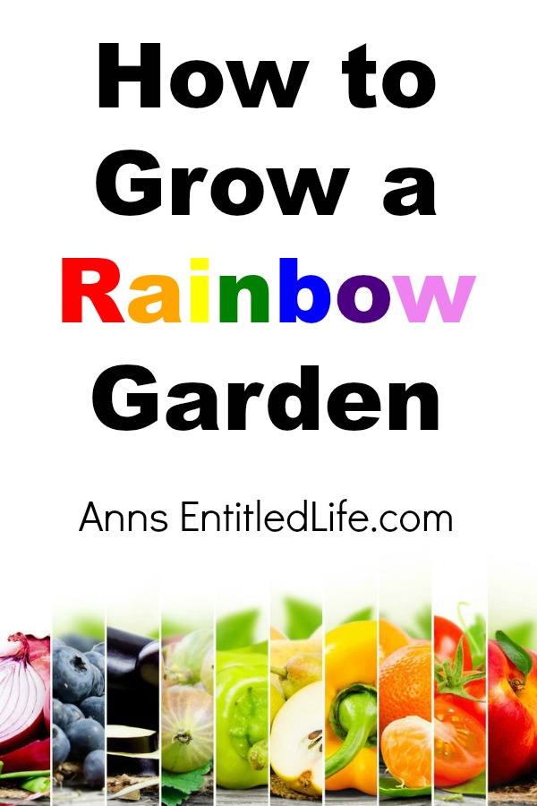 How to Grow a Rainbow Garden. Instructions detailing what plants to plant, and how to grow a beautiful, and nutritious, garden in the colors of a rainbow.