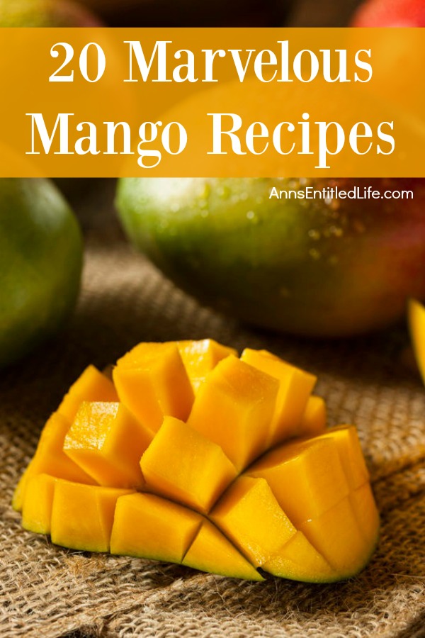 20 Marvelous Mango Recipes. From healthy smoothies to delicious salsa, from tasty cocktails to decadent cakes; the mango is a key ingredient in many dinner, side dish and dessert recipes. Try one of these 20 Marvelous Mango Recipes today!