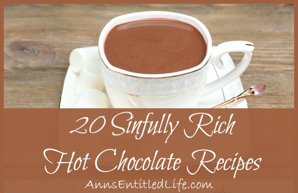 20 Sinfully Rich Hot Chocolate Recipes. These 20 Sinfully Rich Hot Chocolate Recipes will satisfy your hot cocoa craving on a cold winter night. Warm up from the inside out with a wonderful cup of homemade hot chocolate.