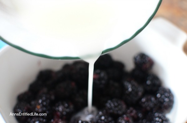 Blackberry Crisp Recipe. An easy to make, delicious dessert made with fresh blackberry. Your family will be asking for seconds of this wonderful blackberry crisp treat.