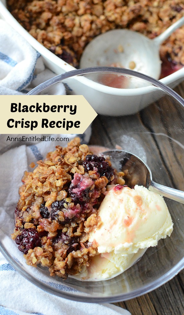 a serving of blackberry crisp a la mode with ice cream in a clear bowl and spoon, blue striped napkin to the left, the serving container and serving spoon of blackberry crisp is in the background