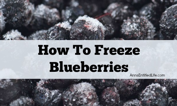 How To Freeze Blueberries. Whether store bought or picked fresh in your backyard, summer blueberries are a great source of antioxidants! To preserve these delicious berries for use when they are not in season,  follow  these easy How To Freeze Blueberries instructions!