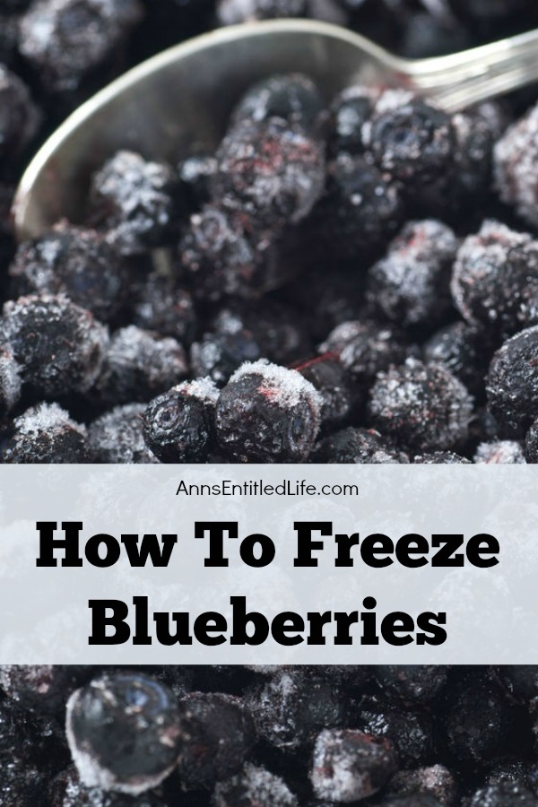 How To Freeze Blueberries. Whether store bought or picked fresh in your backyard, summer blueberries are a great source of antioxidants! To preserve these delicious berries for use when they are not in season,  follow  these easy How To Freeze Blueberries instructions!