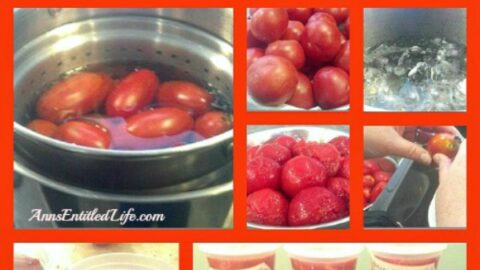 How To Freeze Tomatoes