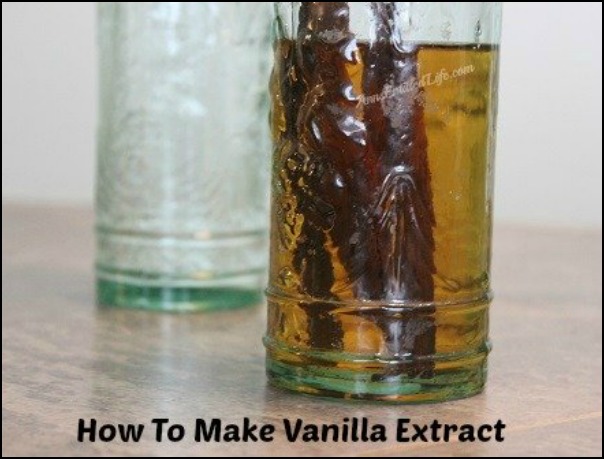 How To Make Vanilla Extract - from selecting the beans to making the extract, here is a comprehensive guide to making vanilla extract!