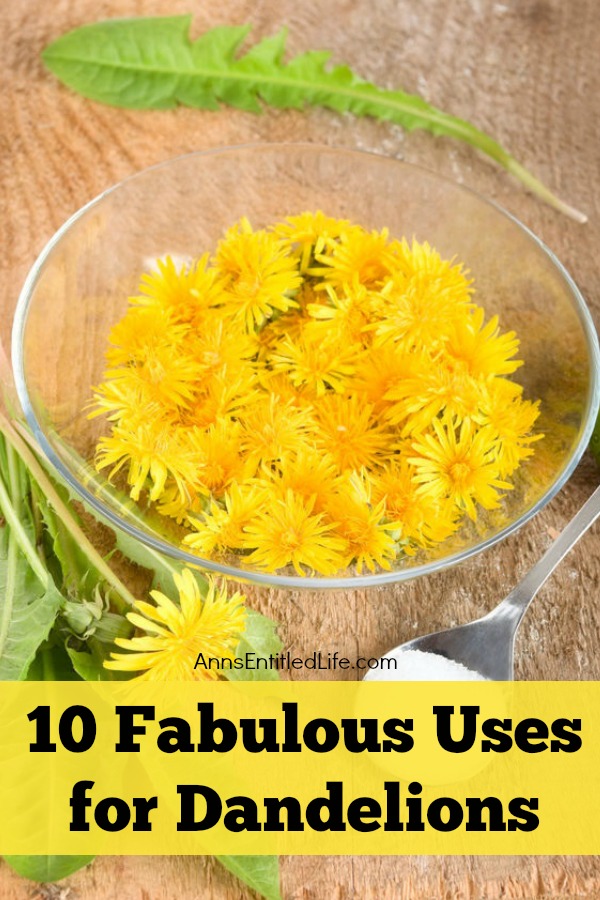 A clear bowl filled with dandelions on a wooden board. Fresh dandelions lay in front of it, a spoon next to them.