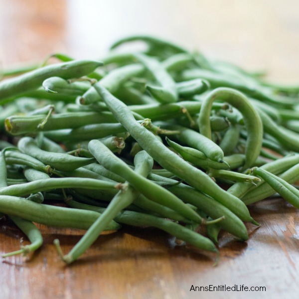 Canned Green Beans Recipe. A super easy home canning recipe with step by step tutorial photographs on how to can green beans. In under an hour you can preserve your harvest of green beans to enjoy year-round.