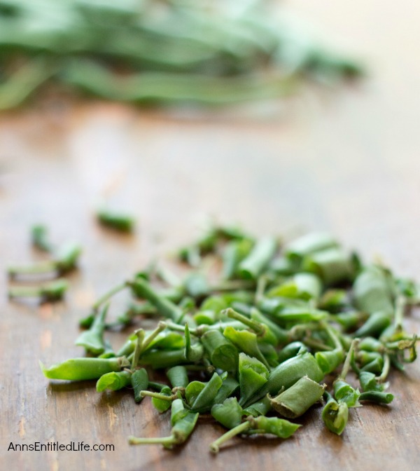 Canned Green Beans Recipe. A super easy home canning recipe with step by step tutorial photographs on how to can green beans. In under an hour you can preserve your harvest of green beans to enjoy year-round.