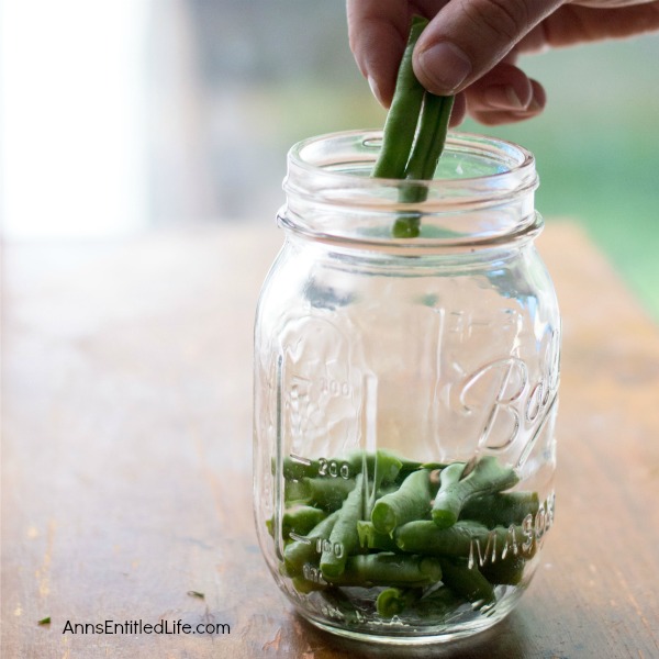 Canned Green Beans Recipe. A super easy home canning recipe with step by step tutorial photographs on how to can green beans. In under an hour you can preserve your harvest of green beans to enjoy year-round.