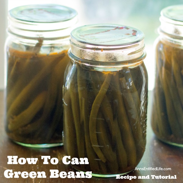 Canned Green Beans Recipe. A super easy home canning recipe with step by step tutorial photographs on how to can green beans. In under an hour you can preserve your harvest of green beans to enjoy year-round.